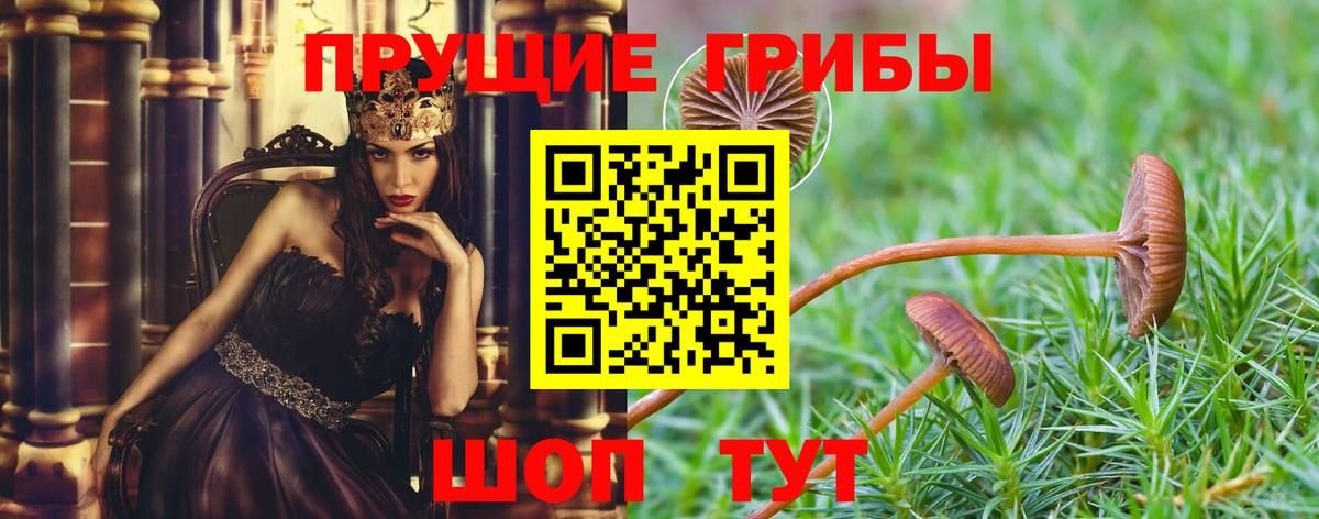 закладка  Галлюциногенные грибы мухоморы  Вход с VPN  Севастополь  Псилоцибиновые грибы прущие грибы 